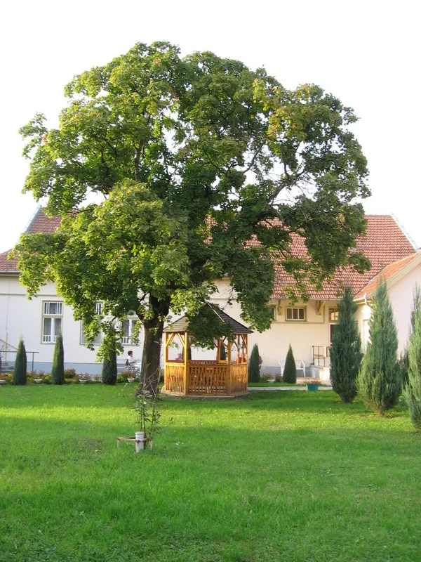 A Református Szeretetotthon képekben