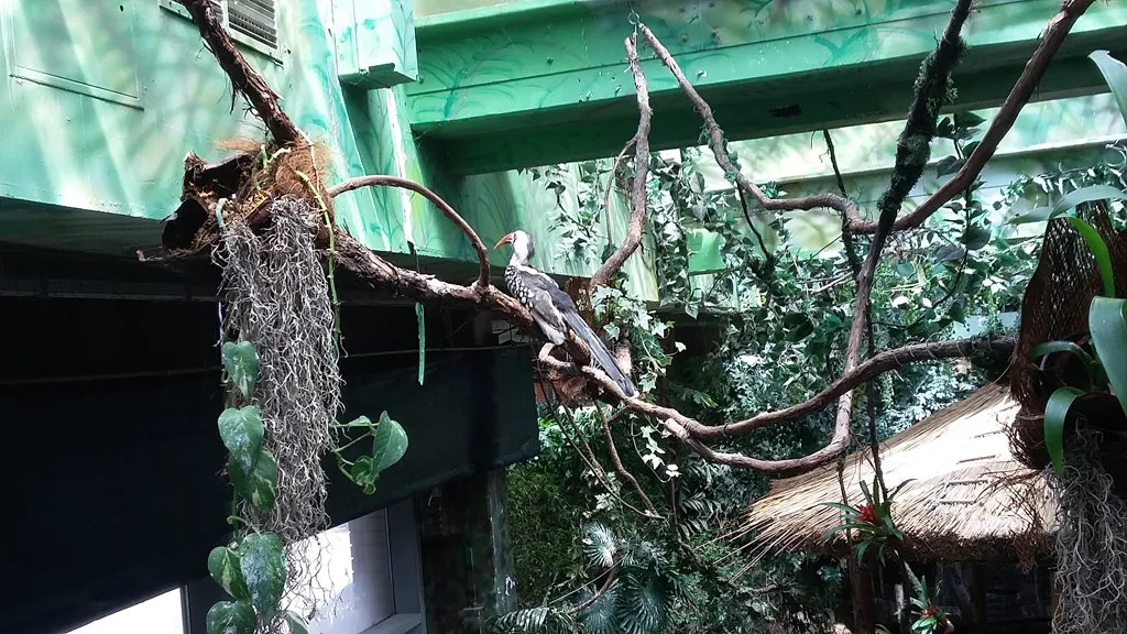 Gyermeknapi családos kirándulás a Tropicariumba