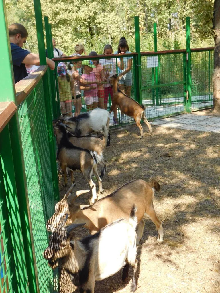 Napközis hittantábor 2018 - 3. nap