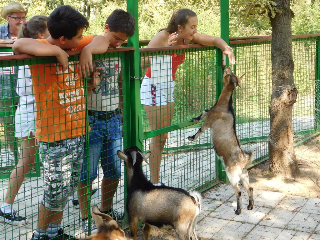 Napközis hittantábor 2018 - 3. nap